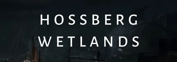 Hossberg Wetlands