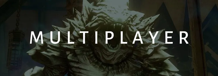 Multiplayer